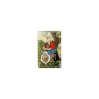 Estampa con Medalla San Marcos de Leon 5.5 x 8.5 cm. (PS)