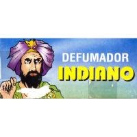 INCIENSO CONO Indiano (Contiene: 20 desfumadores) (Brasil) (S) (PS)